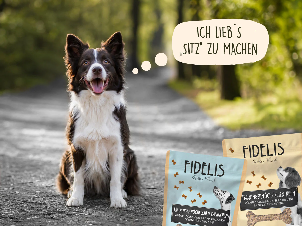 Frische Kraft für glückliche Hunde