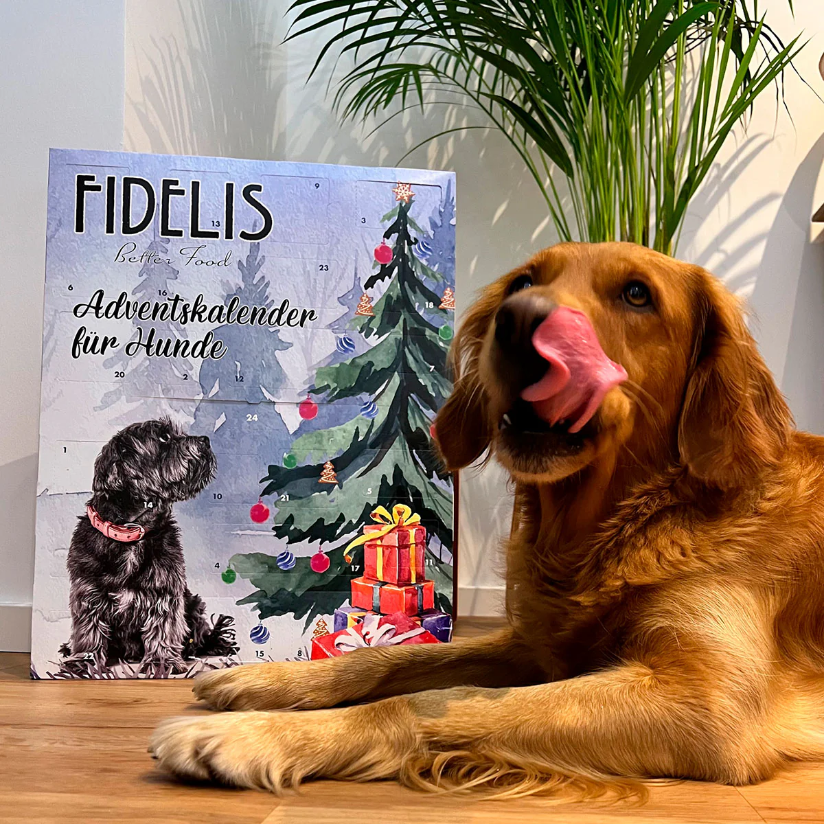 XL-Adventskalender "Weihnachtsbaum" - Image 4