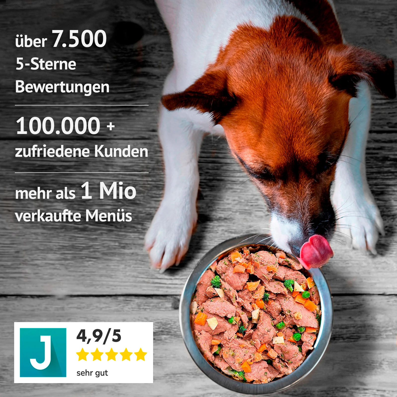 Lamm mit Süßkartoffel, Apfel und Linsen (500g) gefroren - Image 6