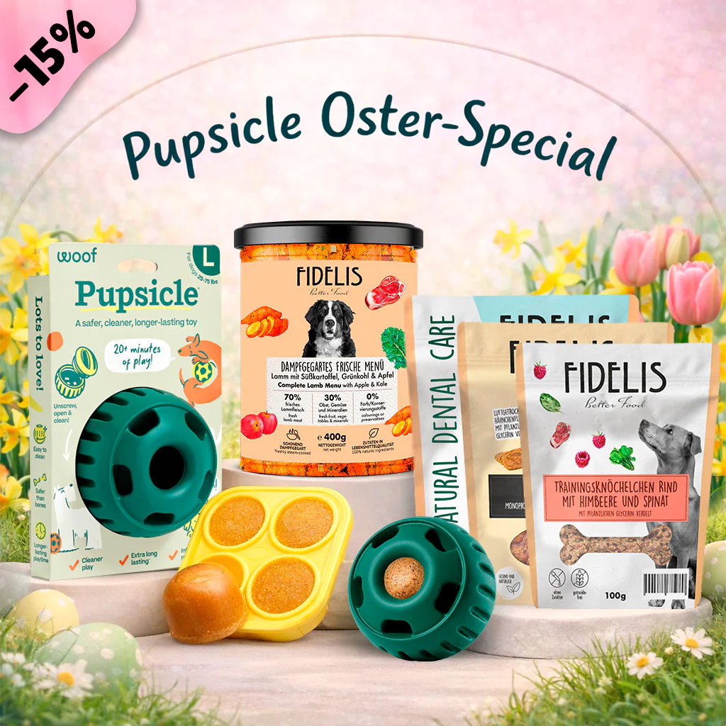Pupsicle (grün, L) + Oster Special (6 Gläser, Treat Tray, Snacks)