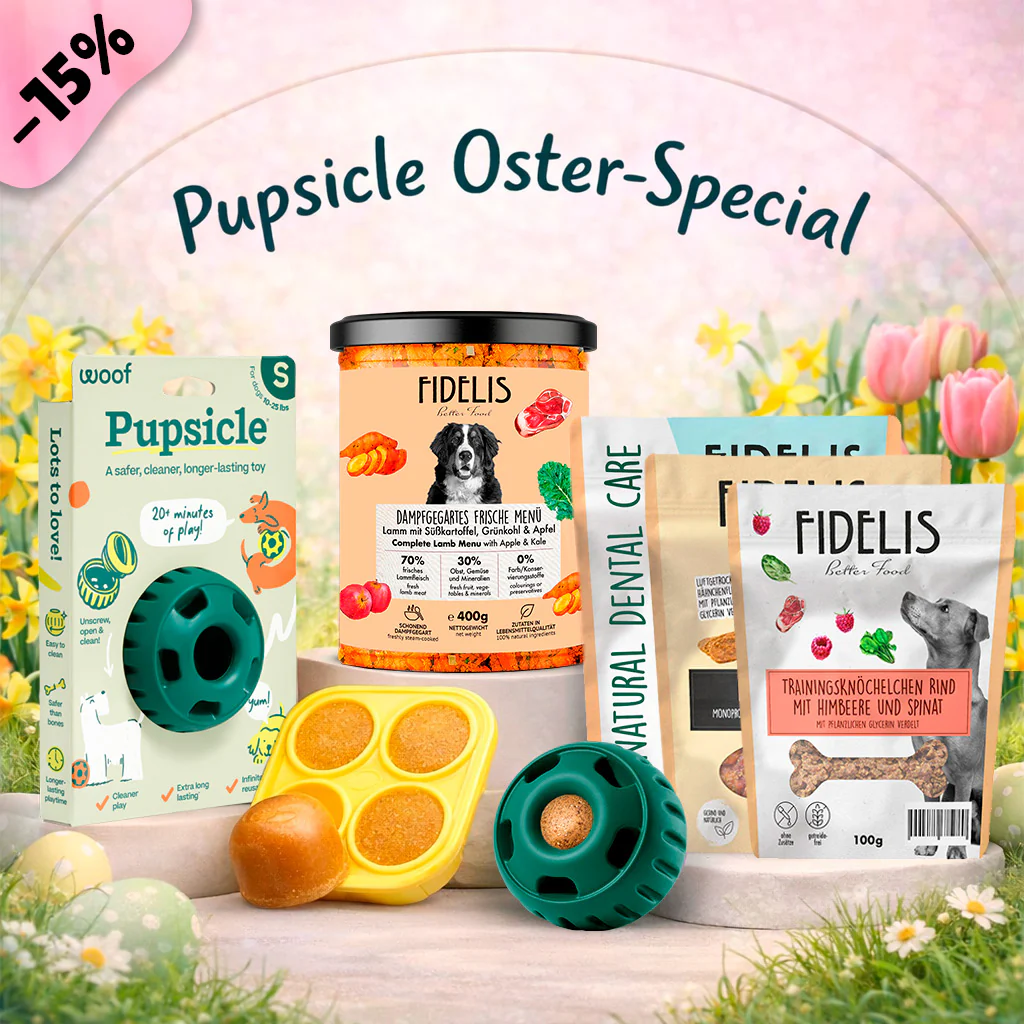 Pupsicle (grün, S) + Oster Special (6 Gläser, Treat Tray, Snacks)