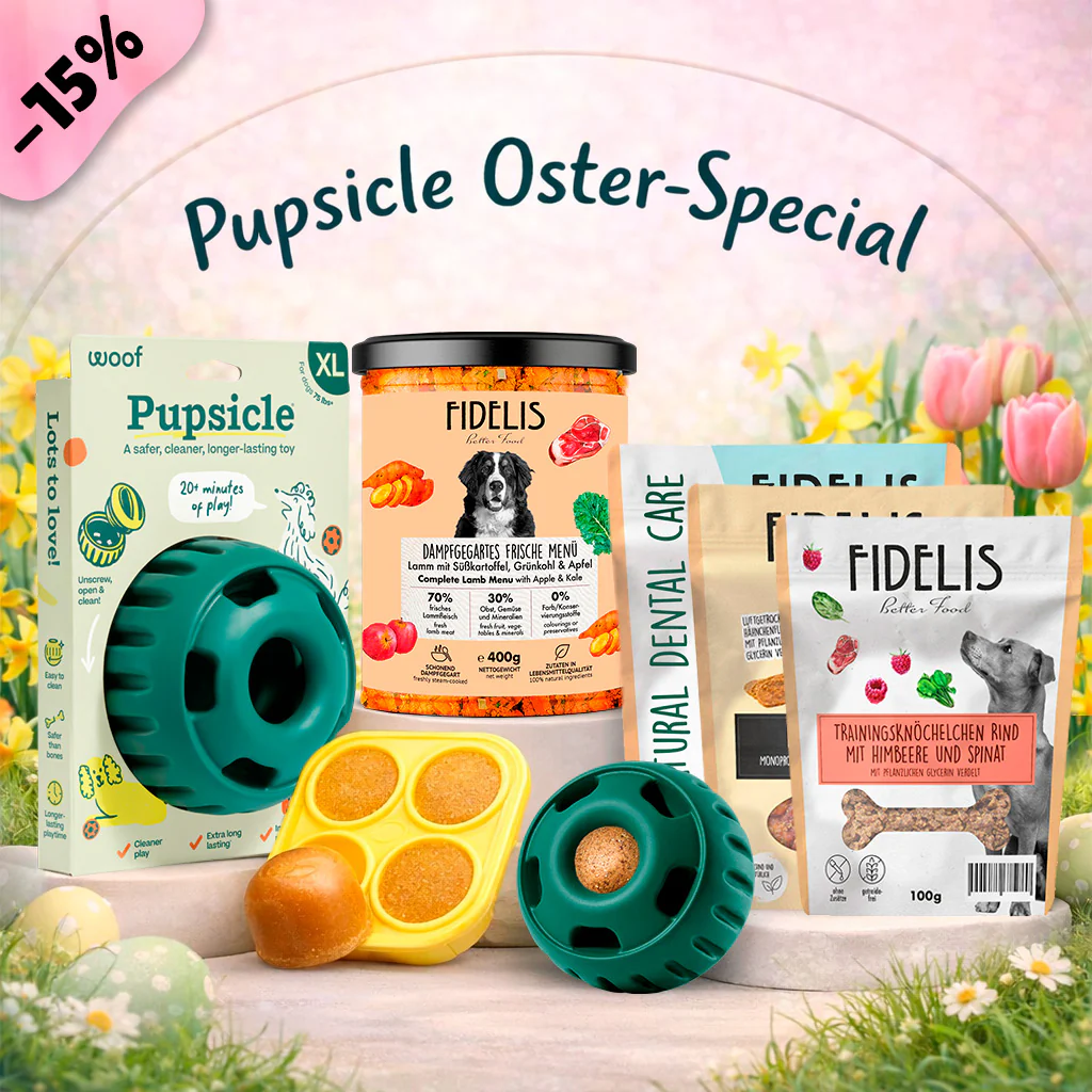 Pupsicle (grün, XL) + Oster Special (6 Gläser, Treat Tray, Snacks)