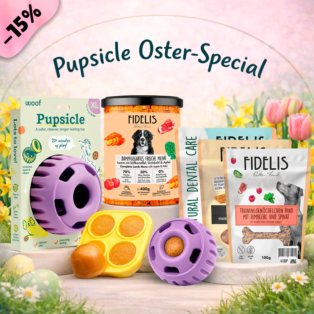 Pupsicle (lavendel, XL) + Oster Special (6 Gläser, Treat Tray, Snacks)