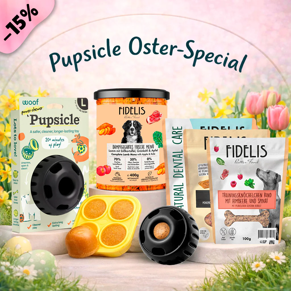 Pupsicle (schwarz, L) + Oster Special (6 Gläser, Treat Tray, Snacks)