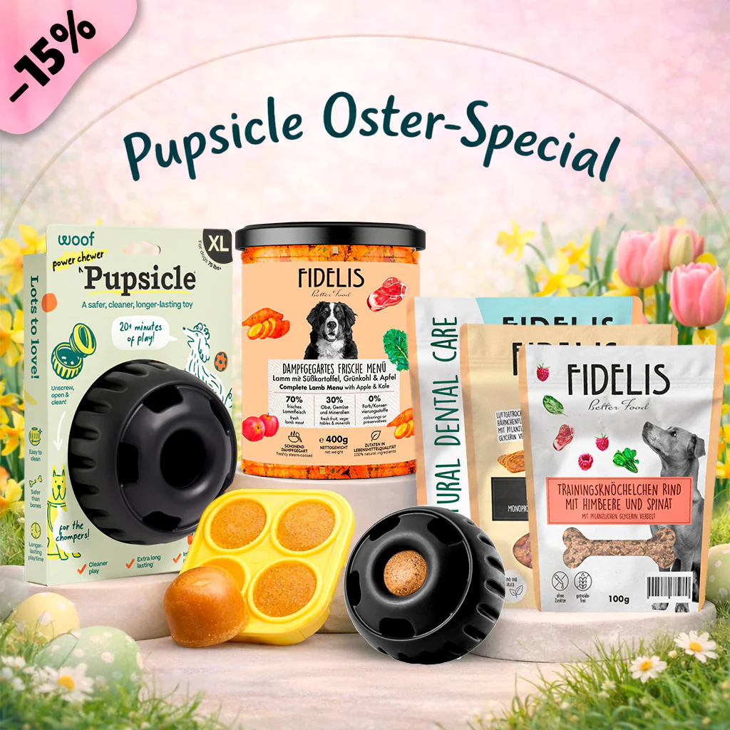 Pupsicle (schwarz, XL) + Oster Special (6 Gläser, Treat Tray, Snacks)