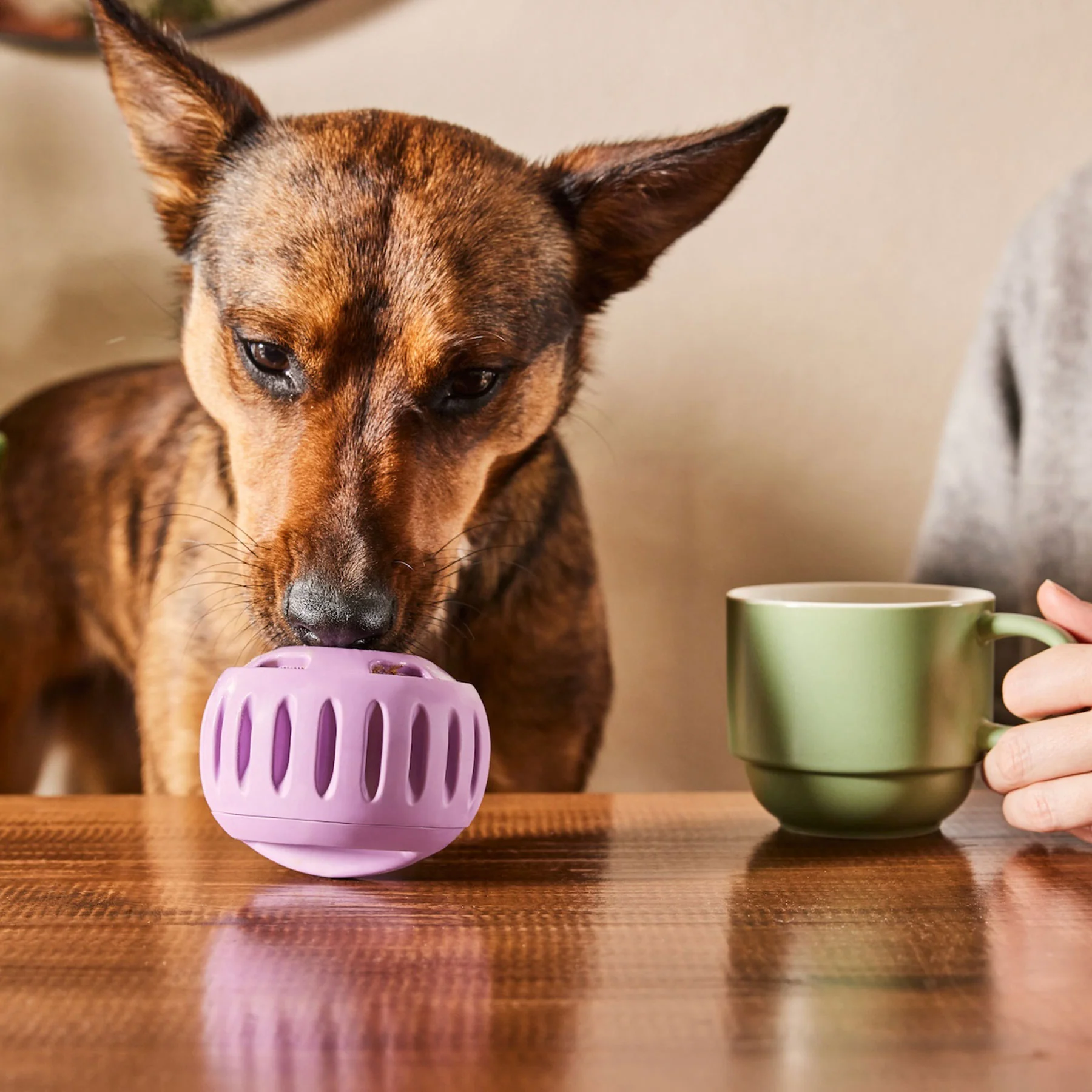 Pupsicle (lavendel, Größe S) - Image 3