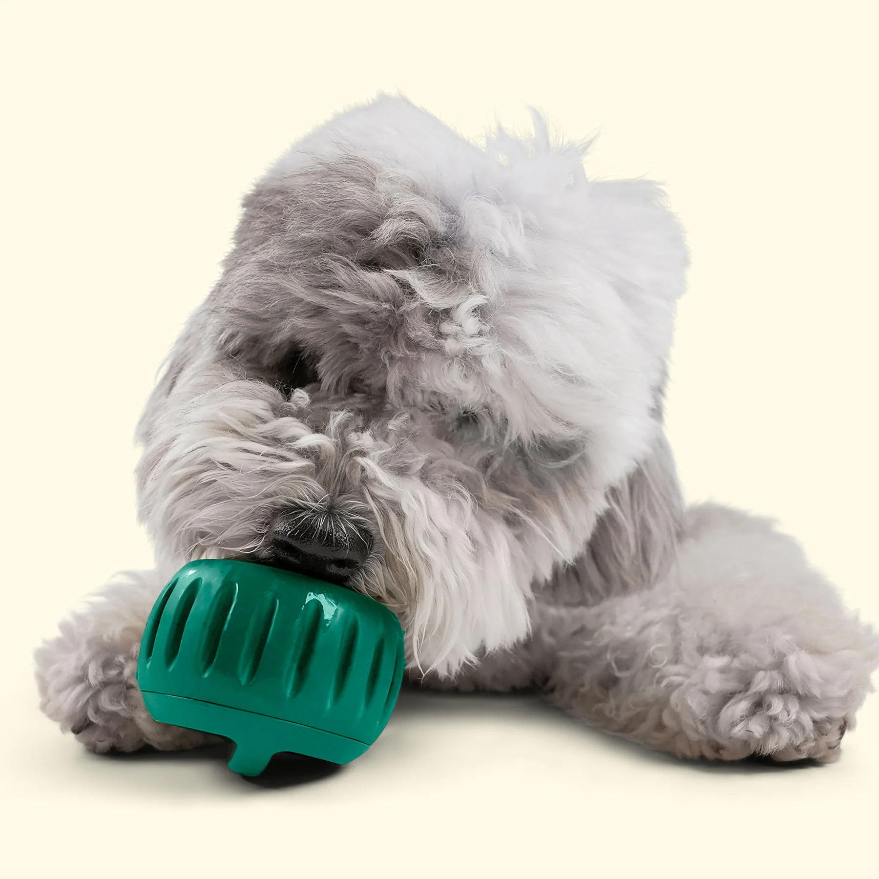 Pupsicle Treat Tray (Größe L) - Image 4